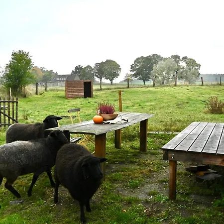 Apartmán Autarker Schaeferwagen Mit Kamin Ganzjaehrig Nutzbar Dargun