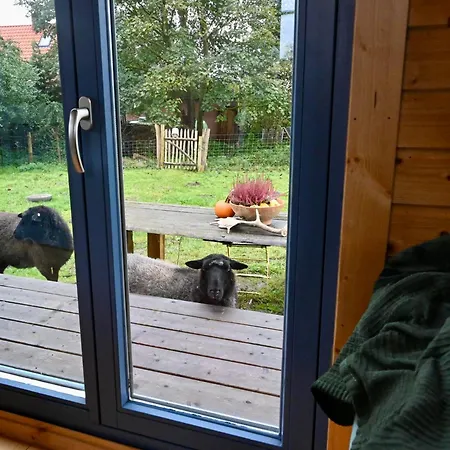 Apartmán Autarker Schaeferwagen Mit Kamin Ganzjaehrig Nutzbar