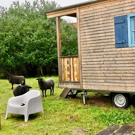 Autarker Schaeferwagen Mit Kamin Ganzjaehrig Nutzbar Apartmán