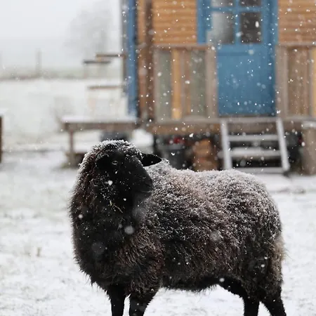 Autarker Schaeferwagen Mit Kamin Ganzjaehrig Nutzbar Apartmán *