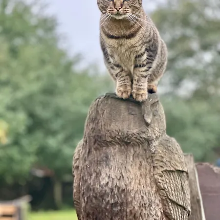 Apartmán Autarker Schaeferwagen Mit Kamin Ganzjaehrig Nutzbar *