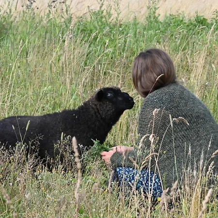Autarker Schaeferwagen Mit Kamin Ganzjaehrig Nutzbar *